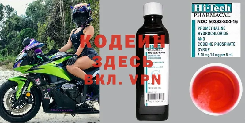 МЕГА ONION  наркошоп  Закаменск  Codein Purple Drank 